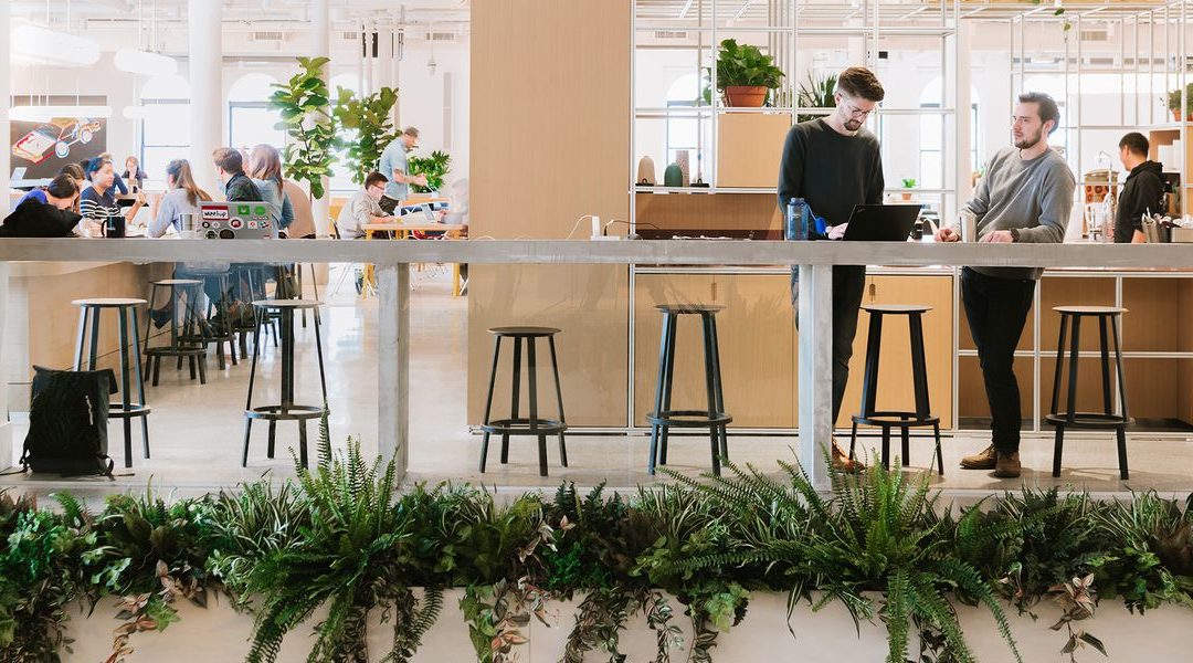 This Is How Some Of The World’s Most Productive Offices Are Designed